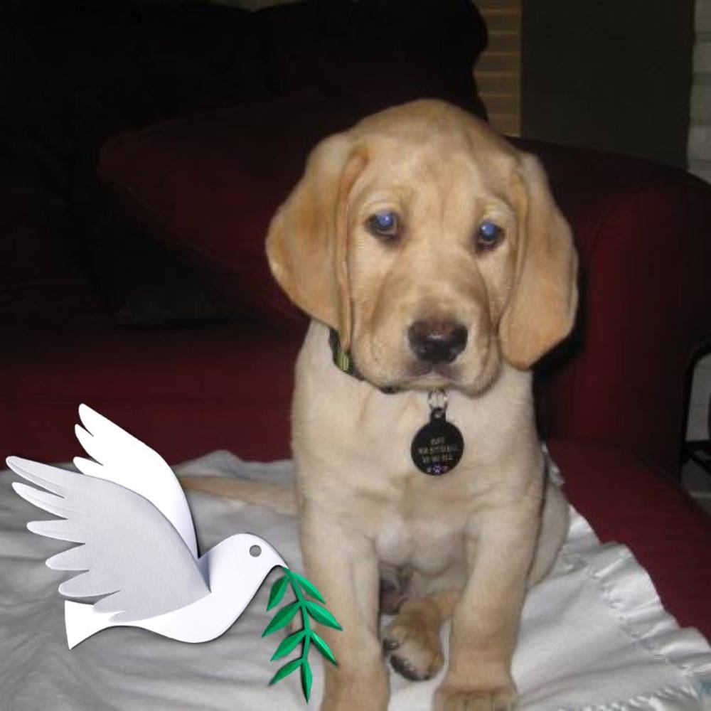 Meet your Posher, Jen